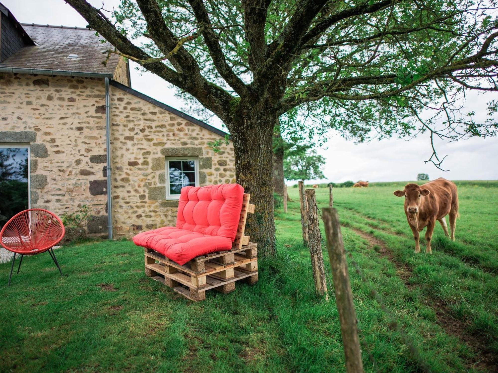 Gite De Charme Renove Avec Cheminee, Terrasse Et Proche Randonnees - Capacite 13 Pers. - Fr-1-410-179 Saint-Léonard-des-Bois Exteriör bild
